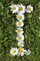 Similar image 191798