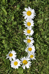 Similar image 191802