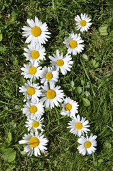 Similar image 191806