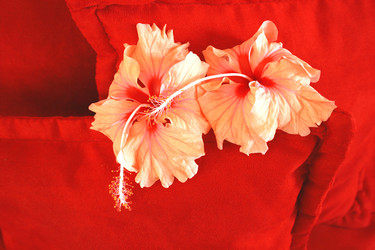 Similar image 191877