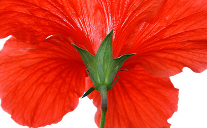 Similar image 191879