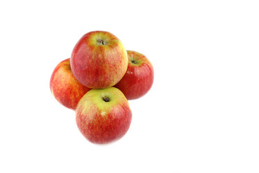 Similar image 191893