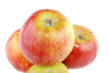 Similar image 191894