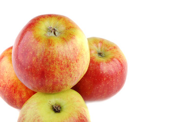 Similar image 191895