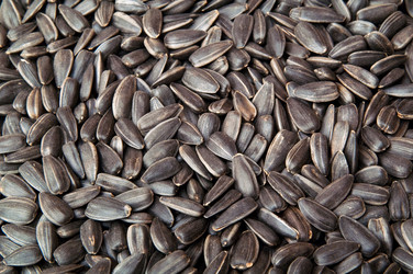 Similar image 191910