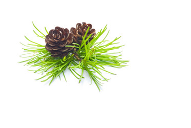 Similar image 191979