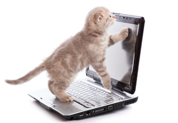 Similar image 191991