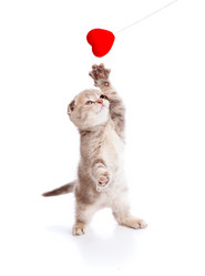 Similar image 191997