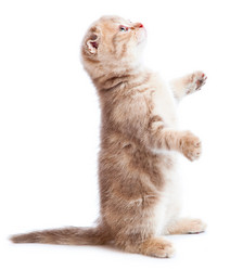 Similar image 191999