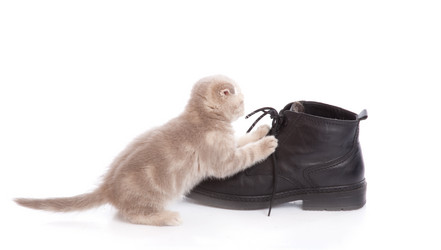 Similar image 192002