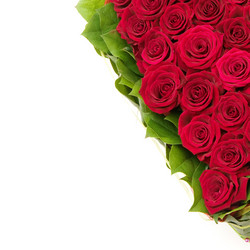 Similar image 192013