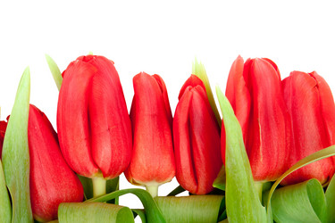 Similar image 192016