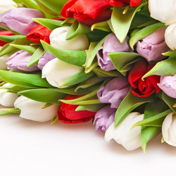 Similar image 192018