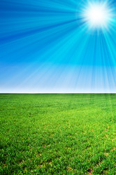 Similar image 192028