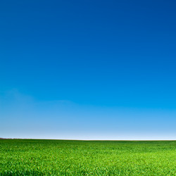 Similar image 192029