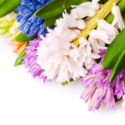 Similar image 192034