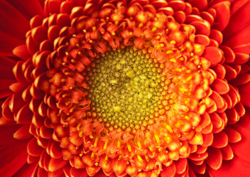 Similar image 192037