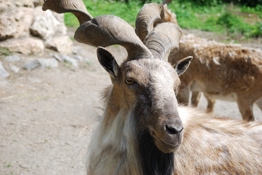 Similar image 192051