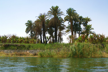 Similar image 192056