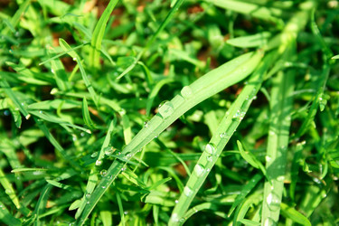 Similar image 192061