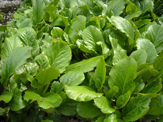 Similar image 192062