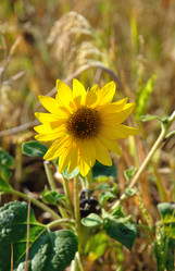 Similar image 192063