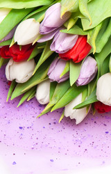 Similar image 192065