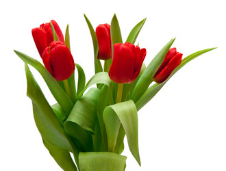 Similar image 192067