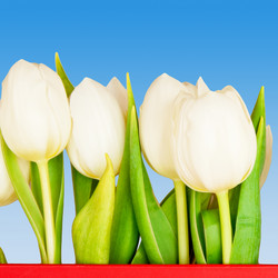 Similar image 192068