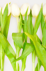 Similar image 192069