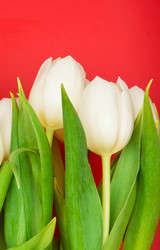 Similar image 192070