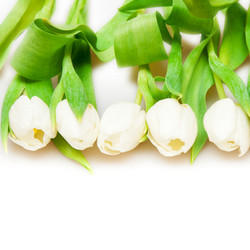 Similar image 192071