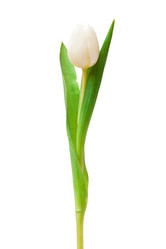 Similar image 192072