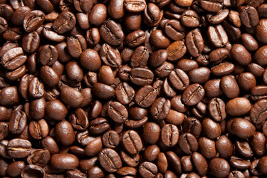 Similar image 192074