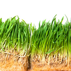 Similar image 192076