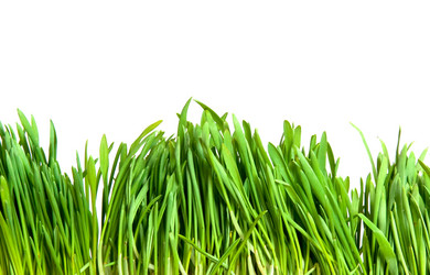 Similar image 192077