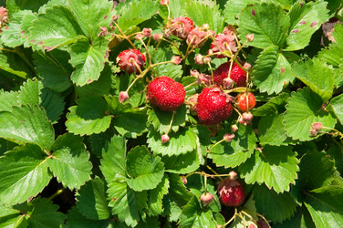 Similar image 192079