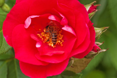 Similar image 192083