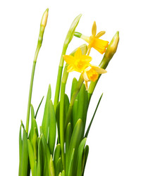 Similar image 192084