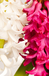 Similar image 192085