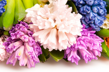 Similar image 192086