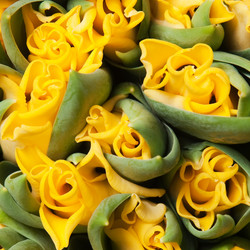 Similar image 192089