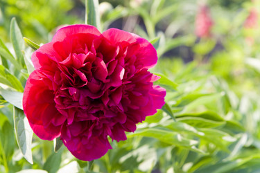 Similar image 192158