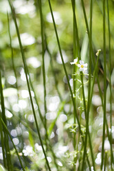 Similar image 192216