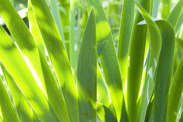 Similar image 192217