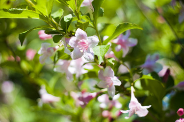 Similar image 192219