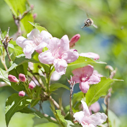 Similar image 192221