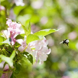 Similar image 192222