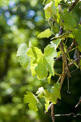 Similar image 192223