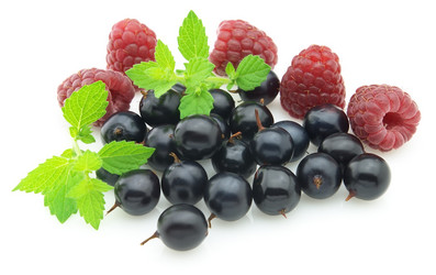 Similar image 192236